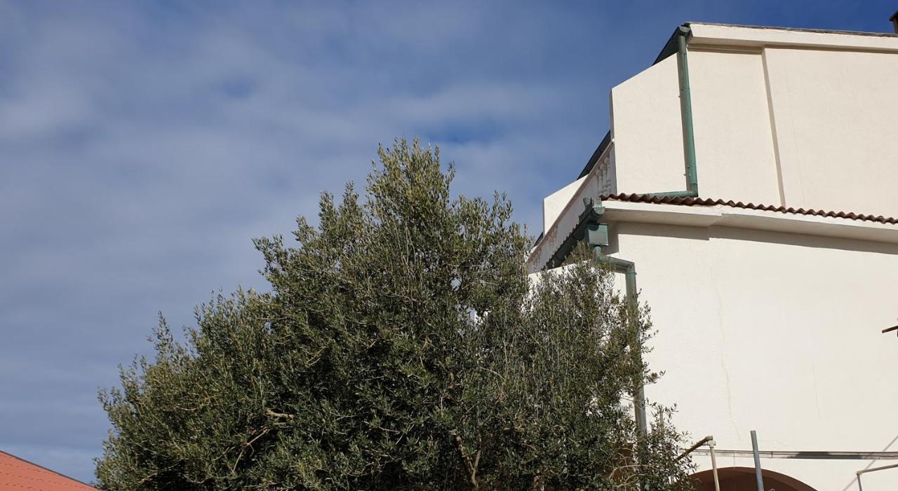 Bellavista Bed And Breakfast Pag Town Buitenkant foto